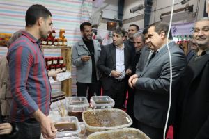 بازدید استاندار ایلام از نمایشگاه «روستا‌آباد»