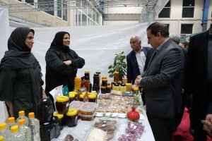 بازدید استاندار ایلام از نمایشگاه «روستا‌آباد»